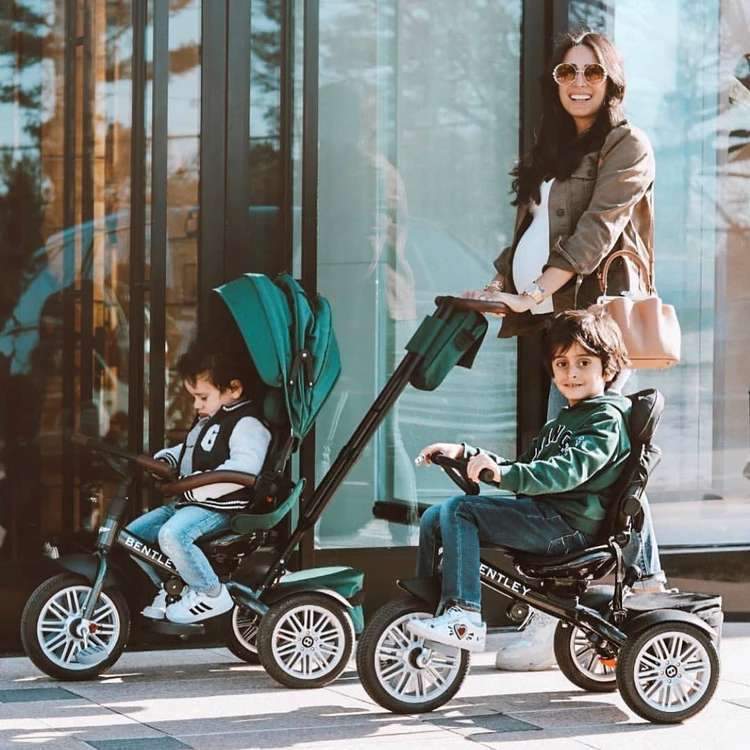 Why the Bentley Bike Stroller is the Best Investment for Your Family