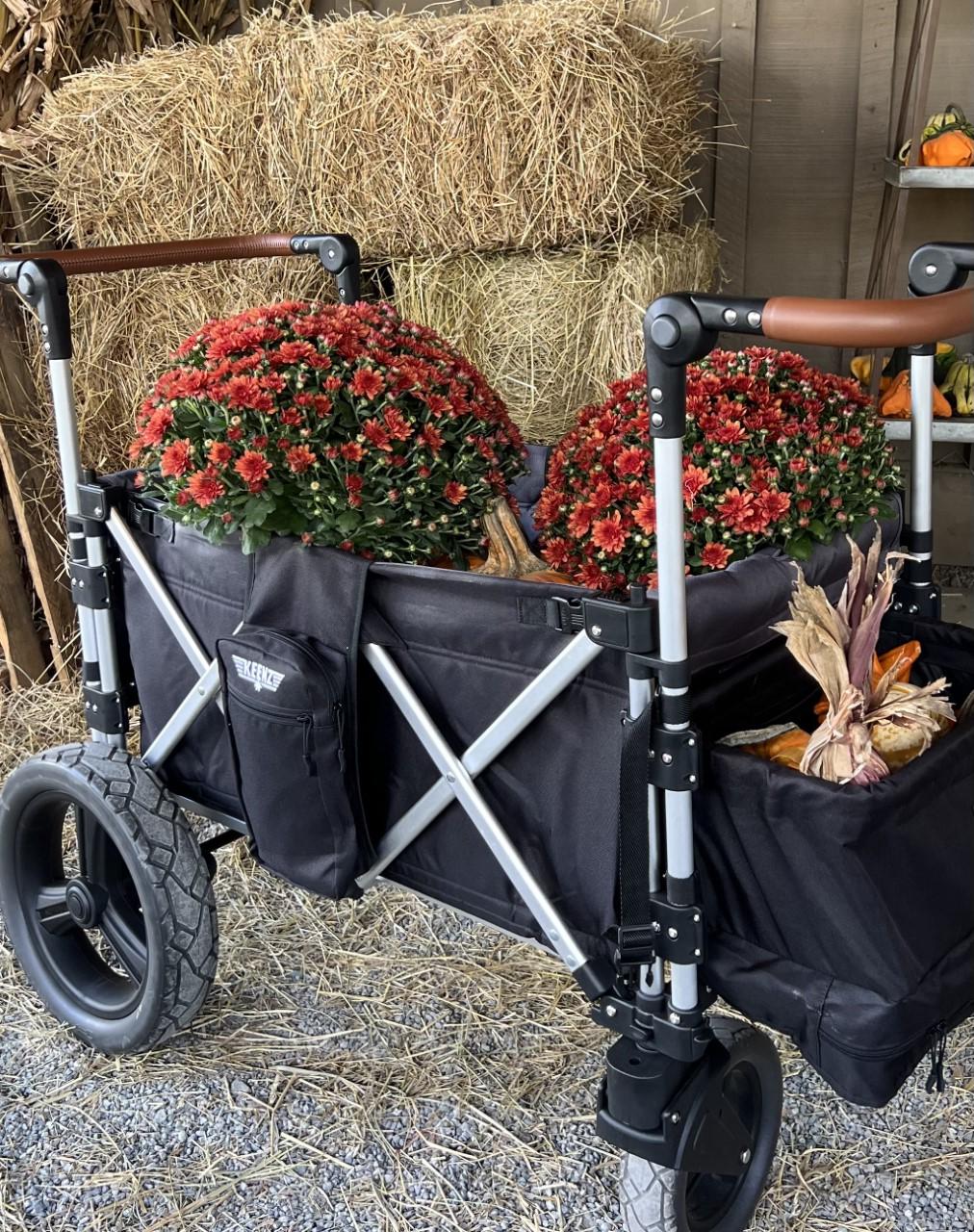 The Original Keenz 7S 2.0 - Ultimate Adventure Stroller Wagon - 2 Passenger